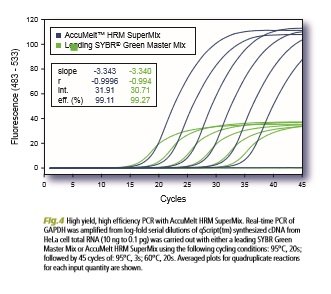 robust amplification
