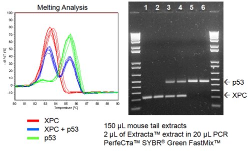 extractamultiplex_genotyping
