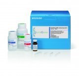 quickgene kit