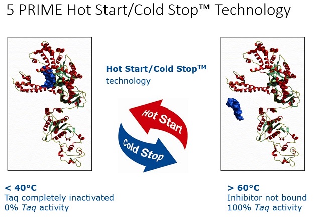 5 prime hot master taq dna polymerase