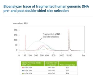 sparQ Pure Mag Beads - Fast, reliable DNA purification & size selection ...